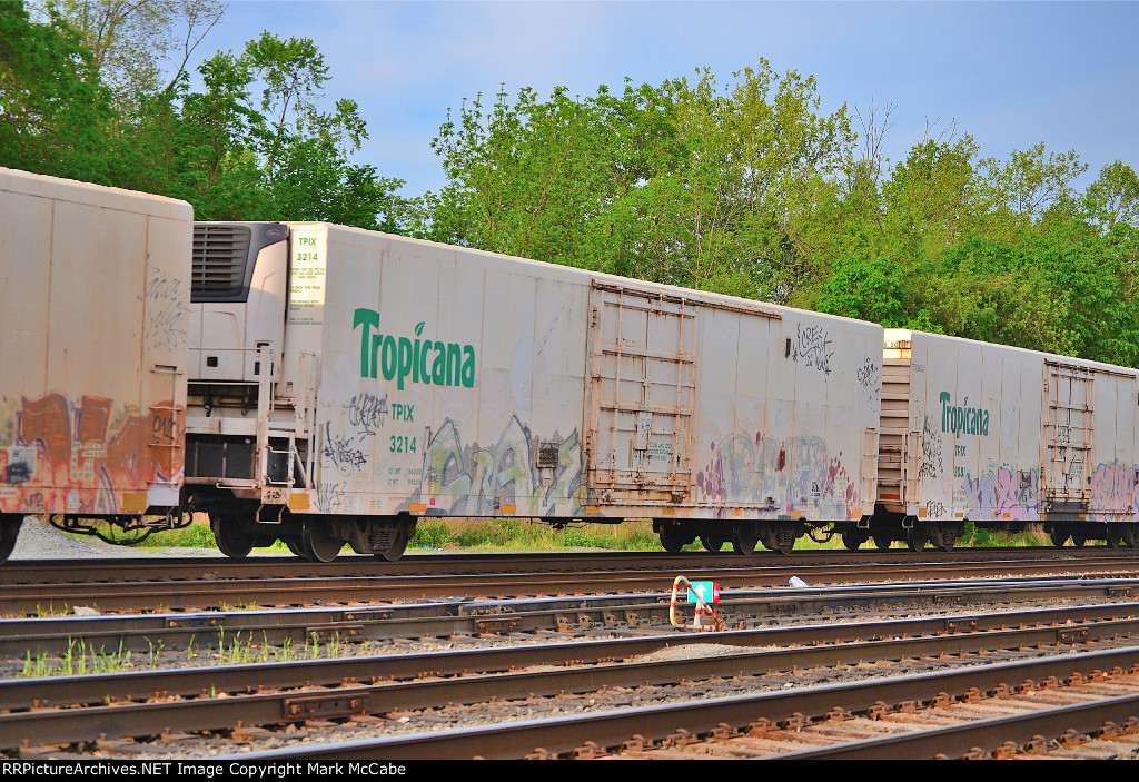 CSX M371